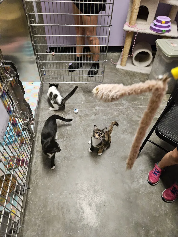 Banfield Pet Hospital 12