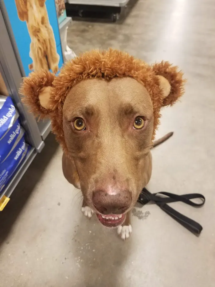 Banfield Pet Hospital 12