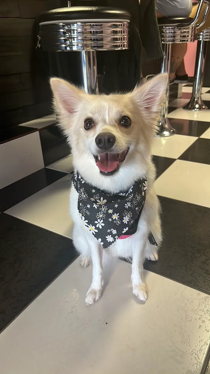 Banfield Pet Hospital 12