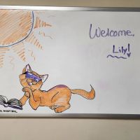 Bayview Animal Hospital ico