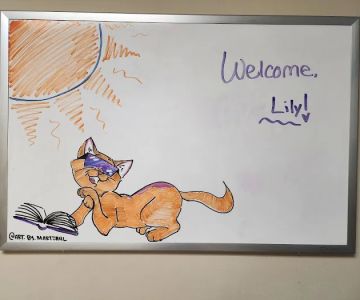 Bayview Animal Hospital