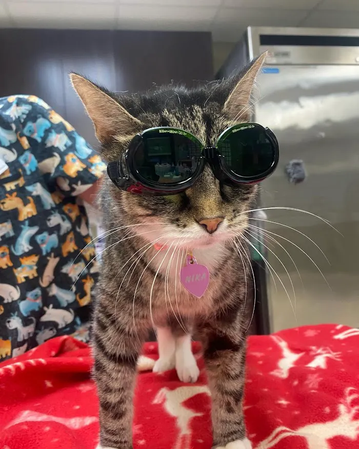 Bayview Animal Hospital 8
