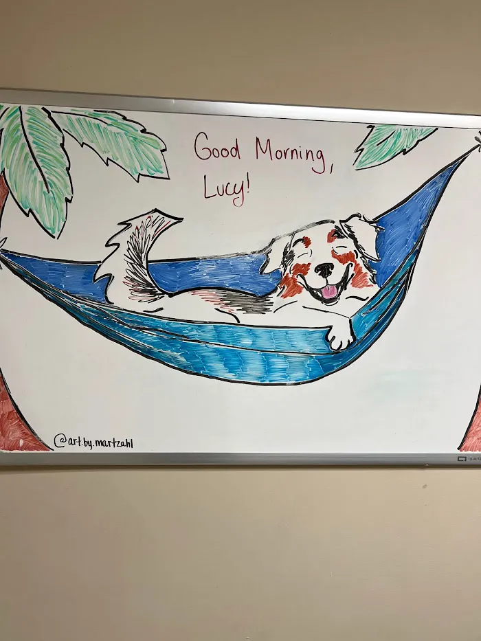 Bayview Animal Hospital 9