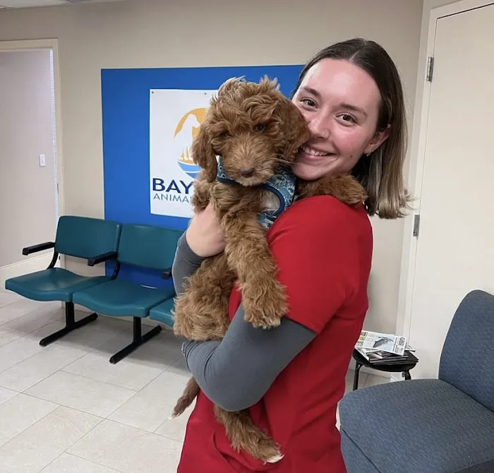Bayview Animal Hospital 1
