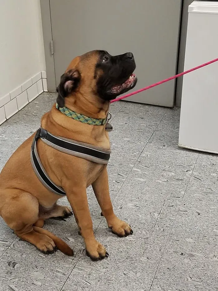 Gateway Animal Hospital 12