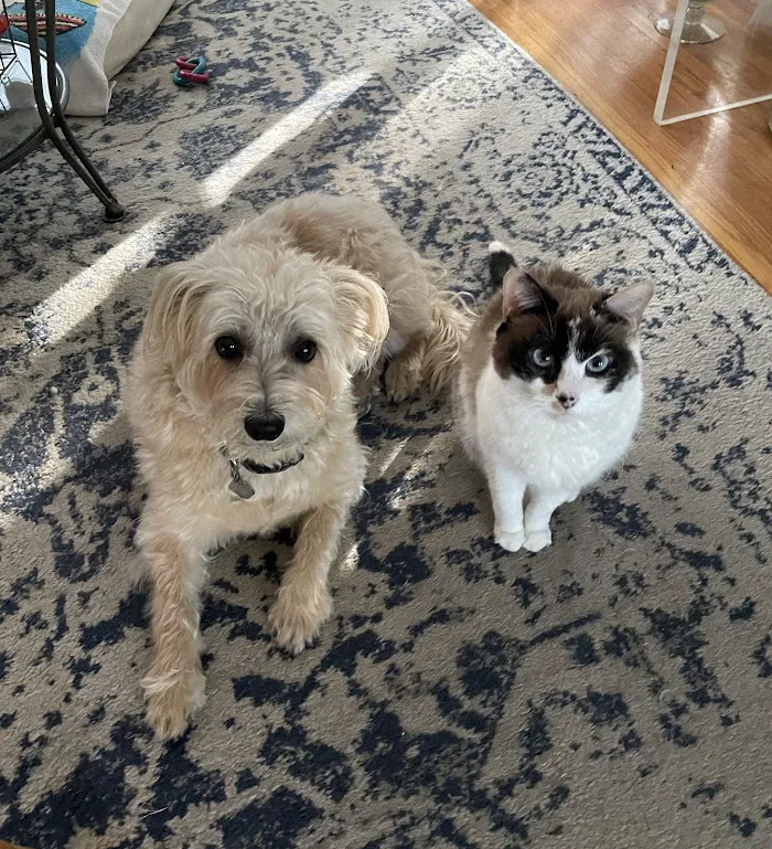 Gateway Animal Hospital 12