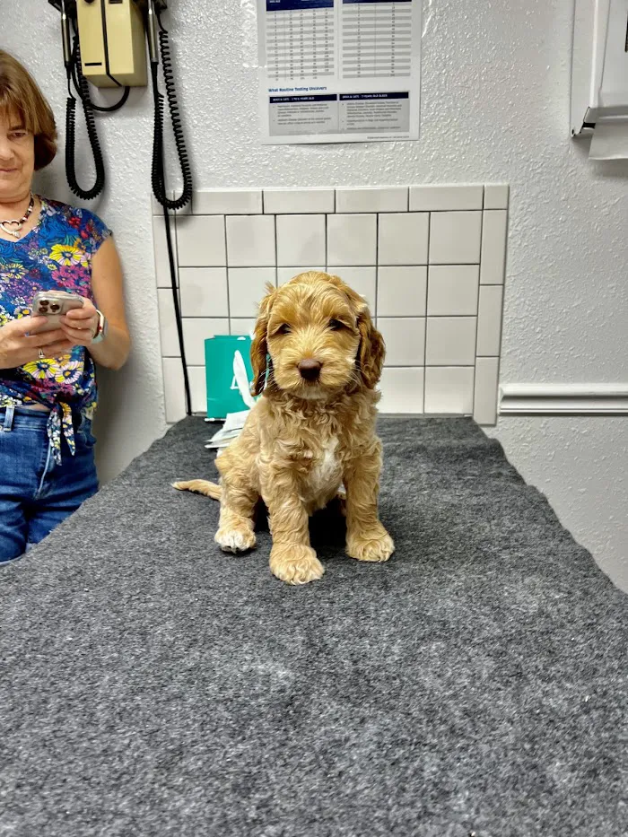 Gateway Animal Hospital 12