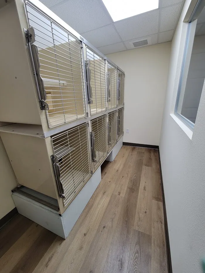 Serenity Veterinary Hospital 12