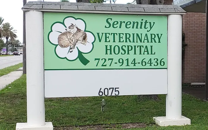 Serenity Veterinary Hospital 12