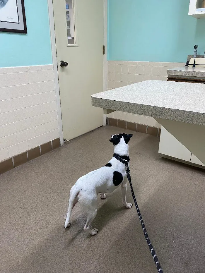 Live Oak Veterinary Hospital 12
