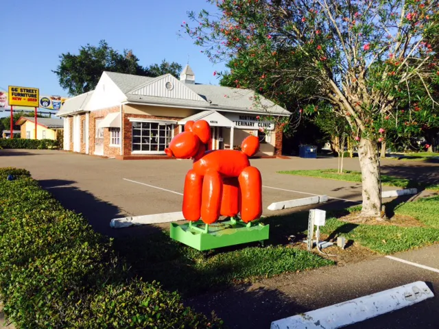 Northwest Veterinary Clinic 5