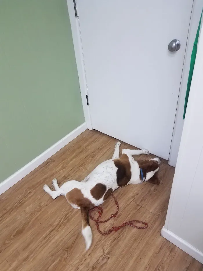 Northwest Veterinary Clinic 6