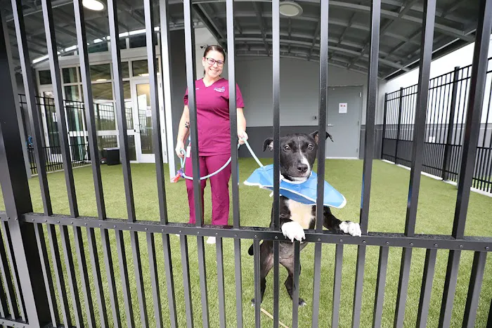 BluePearl Pet Hospital 12