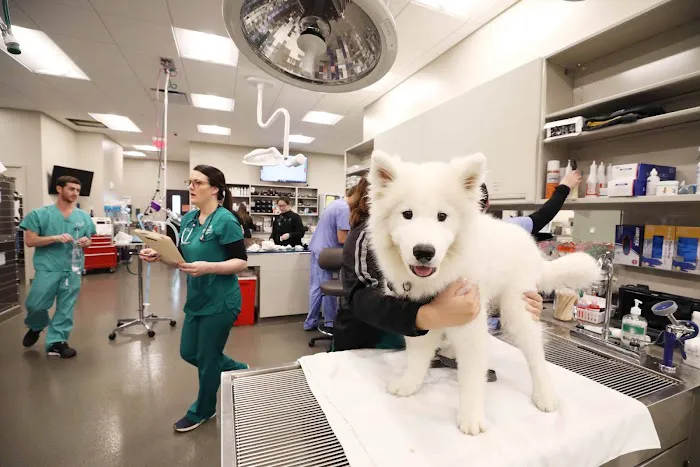 BluePearl Pet Hospital 12