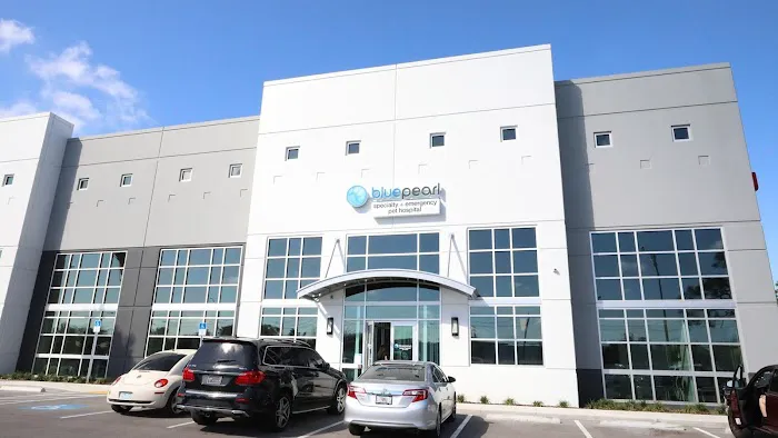 BluePearl Pet Hospital 12