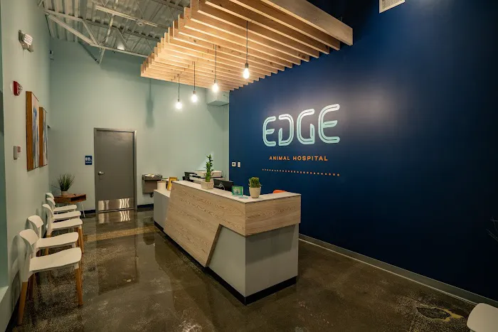 EDGE Animal Hospital 12