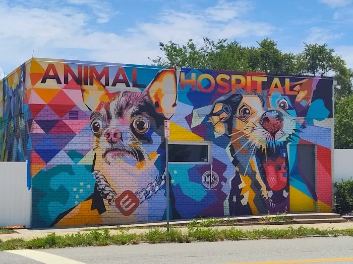 EDGE Animal Hospital 12