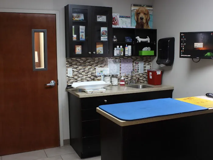 Haines Road Animal Hospital 12