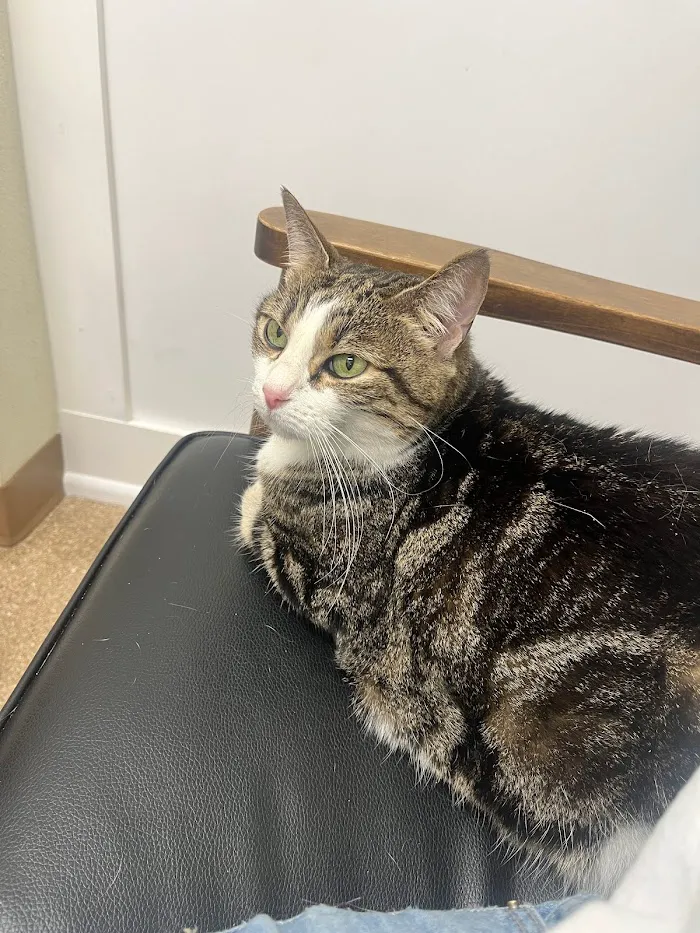 Partridge Animal Hospital 12