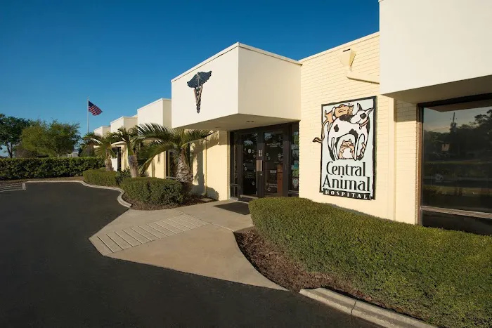 Central Animal Hospital 12