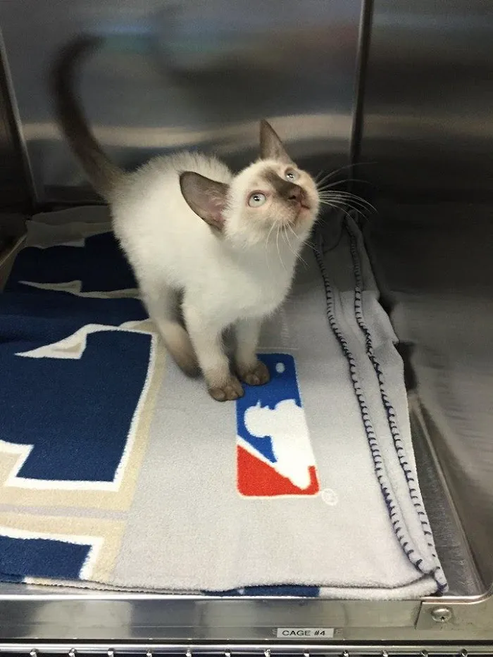 ParkView Animal Hospital 12