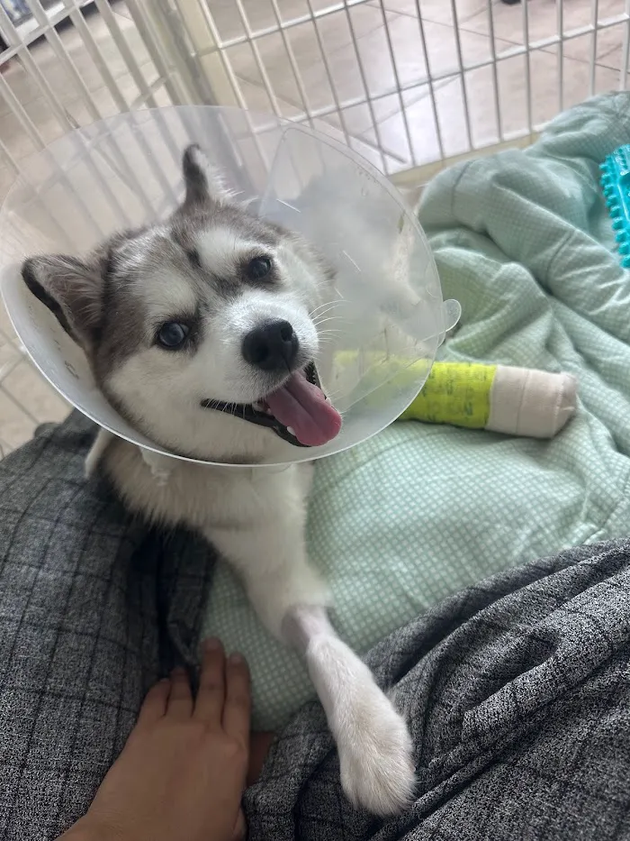 ParkView Animal Hospital 12