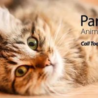 ParkView Animal Hospital ico