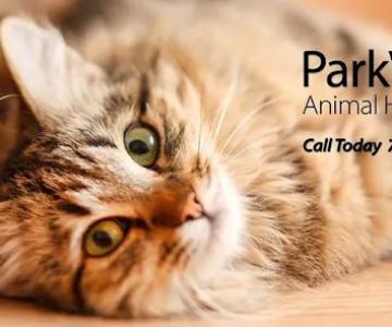 ParkView Animal Hospital