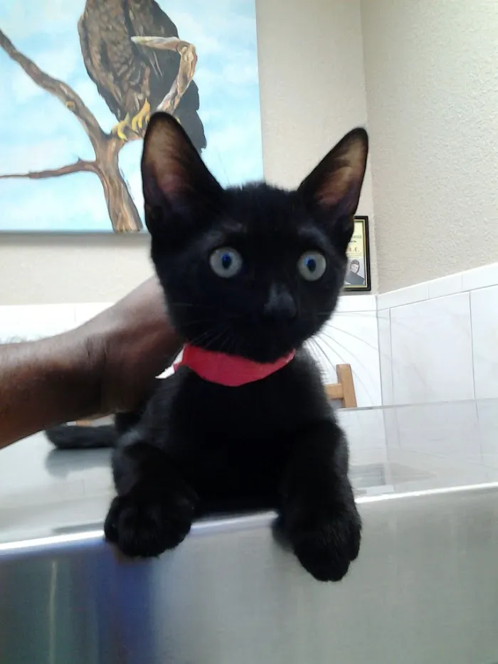 ParkView Animal Hospital 12