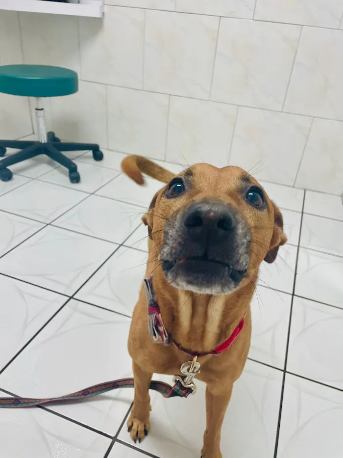 ParkView Animal Hospital 12