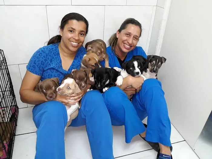 ParkView Animal Hospital 12