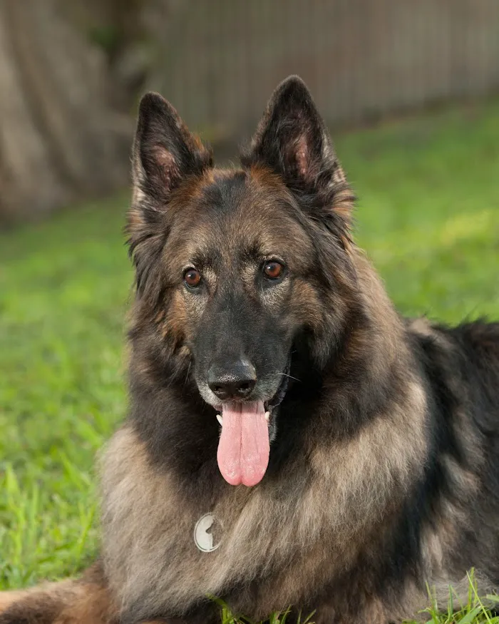 ParkView Animal Hospital 12
