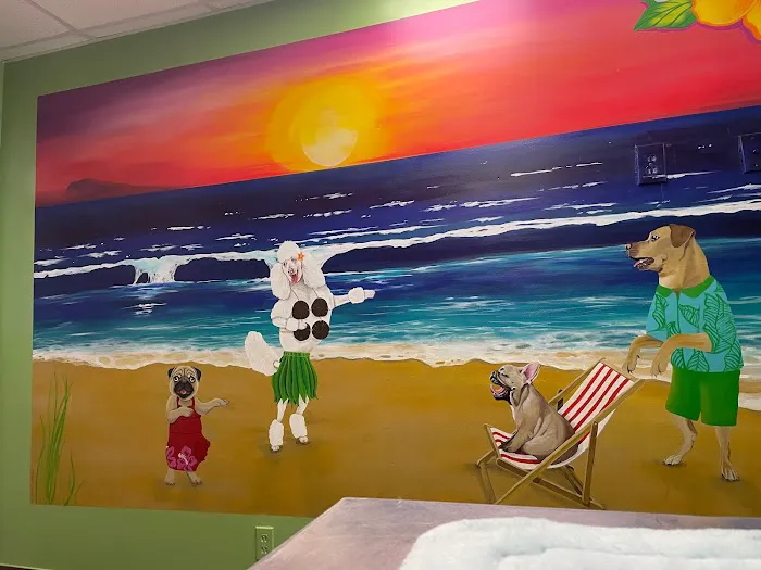 St. Pete Veterinary Hospital 1
