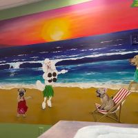 St. Pete Veterinary Hospital ico