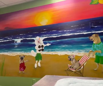 St. Pete Veterinary Hospital