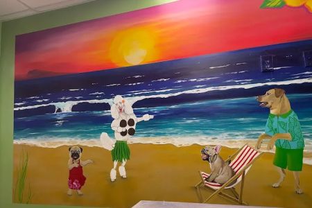 St. Pete Veterinary Hospital