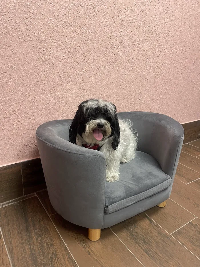 St. Pete Veterinary Hospital 9