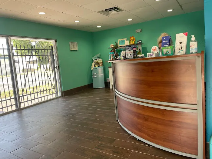 St. Pete Veterinary Hospital 4