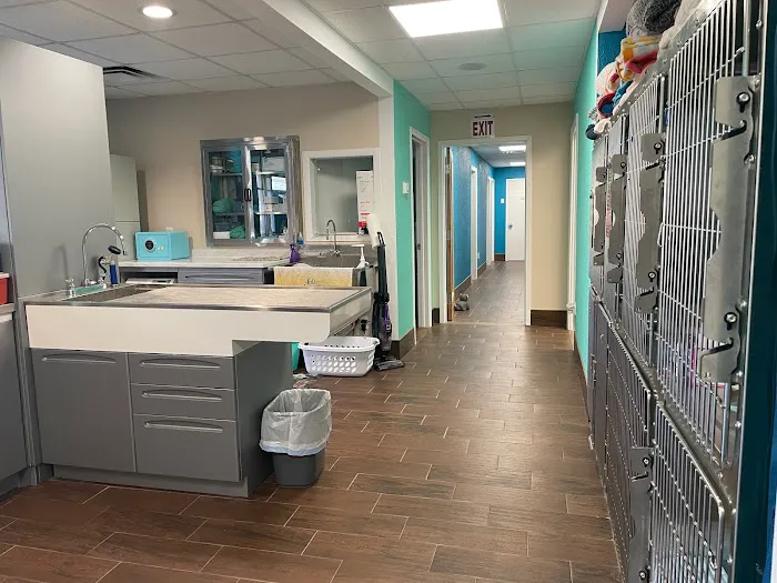 St. Pete Veterinary Hospital 6
