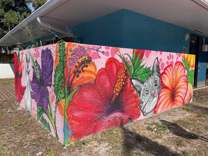 St. Pete Veterinary Hospital 7