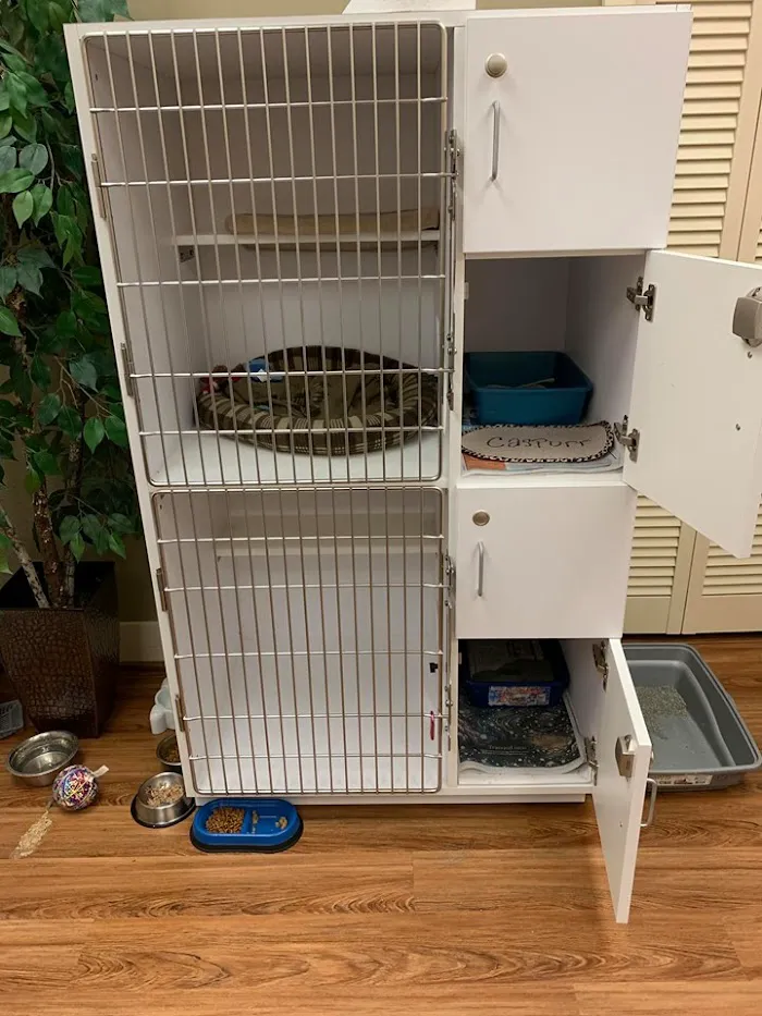 Grand Central Veterinary Hospital 12