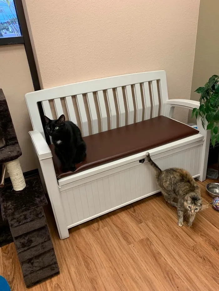 Grand Central Veterinary Hospital 12