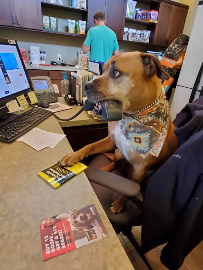 Grand Central Veterinary Hospital 12