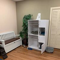 Grand Central Veterinary Hospital ico