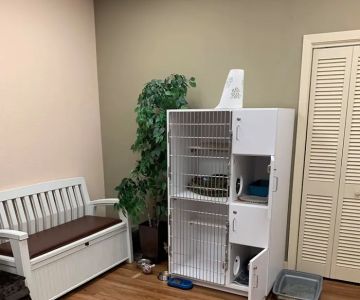 Grand Central Veterinary Hospital