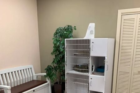 Grand Central Veterinary Hospital