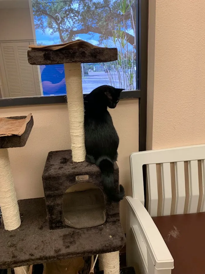 Grand Central Veterinary Hospital 12