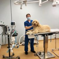 Furry Friends Veterinary Center ico