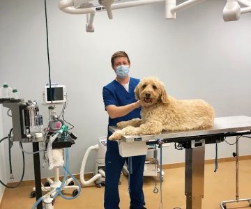 Furry Friends Veterinary Center