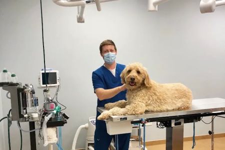 Furry Friends Veterinary Center